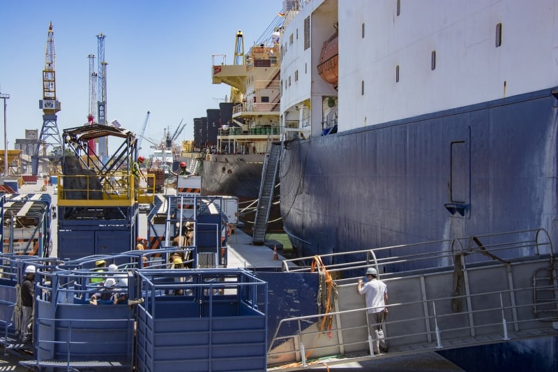 Embarque de mais de 11 mil terneiros para exporta??o de gado em p? para o Egito por navio no porto de Rio Grande