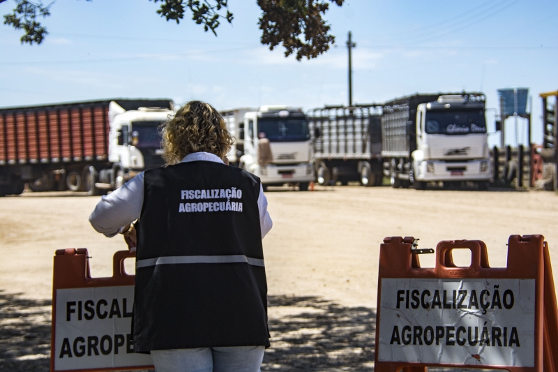 Entidade chama a atenção para as grandes chances de evasão em massa de fiscais estaduais agropecuários da Seapi 