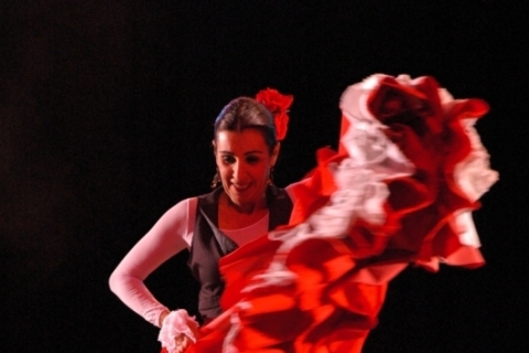 Espaço virou uma "verdadeira casa del flamenco", diz Andréa Franco