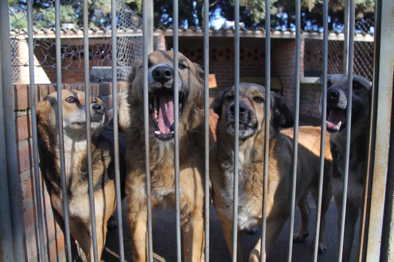 Órgão estadual solicitou mudanças, a partir da superlotação do local; novo espaço deve ser construído