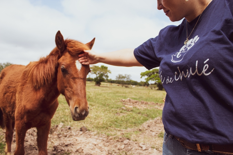 Sede da ONG, no localizada no bairro do Lami, em Porto Alegre, conta hoje com mais de 60 animais 