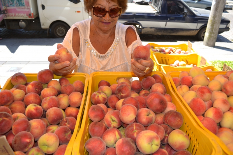 Com uma produção anual de 50 mil toneladas, fruta ocupa 4,5 mil hectares em propriedades da região