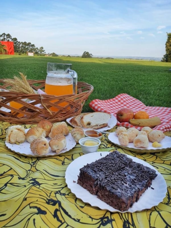 A fazenda tem foco no turismo rural e ecol&oacute;gico Foto: QUINTA DA ESTANCIA/REPRODU&Ccedil;&Atilde;O/JC