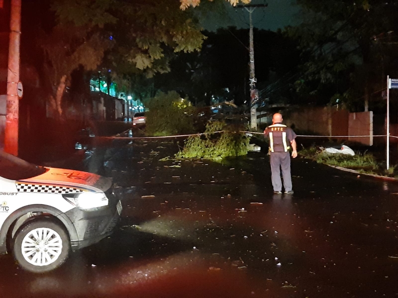 A EPTC trabalhou orientando o trânsito em razão da queda de árvores e postes na Capital
