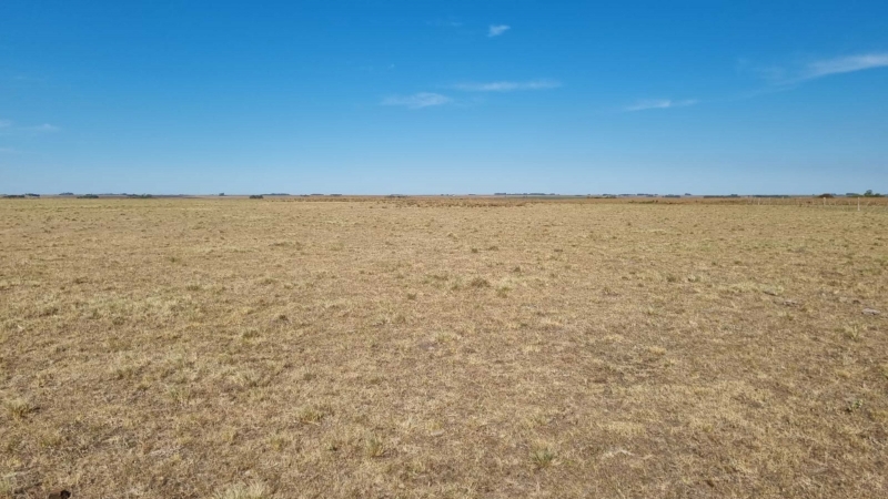 Verba é parte dos R$ 2,9 bilhões demandados pelas principais entidade agropecuárias do Sul