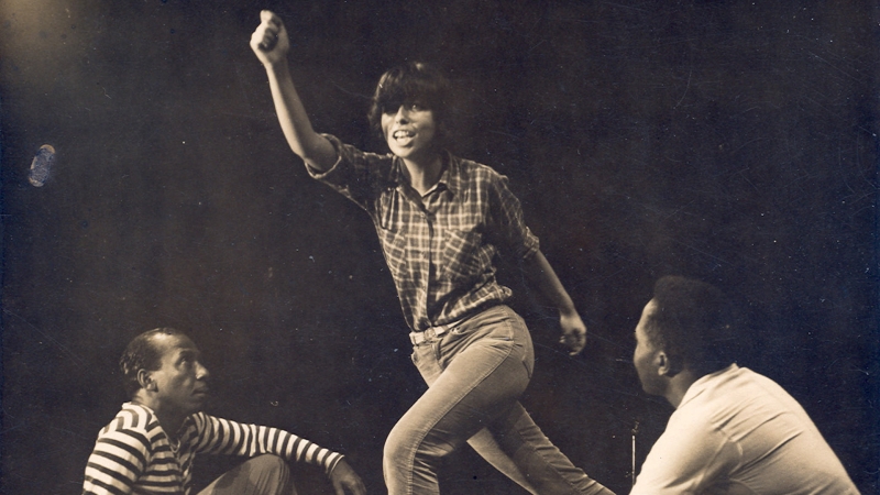 Símbolo de resistência à ditadura, cantora completaria 80 anos nesta quarta-feira (19)