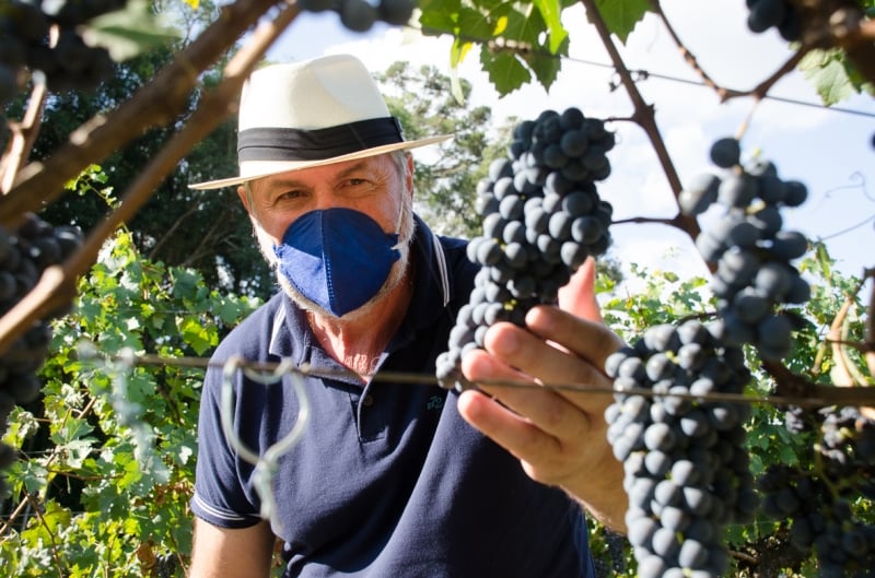 O principal problema será o pós-safra, avisa Deunir Argenta