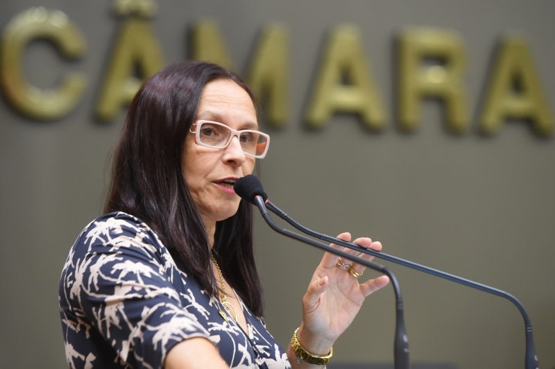 Vereadora Cláudia apresentará projeto da usina de energia reciclável a secretários municipais
