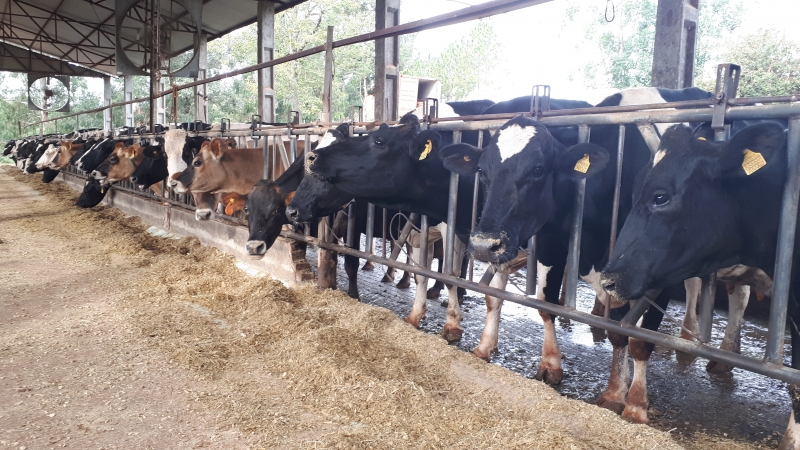 Valor total distribuído para os criadores será de R$ 10 milhões