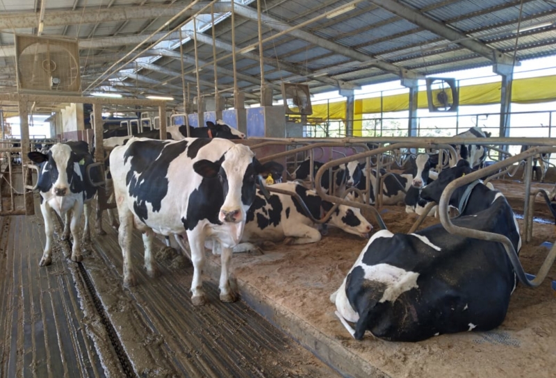 Gadolando reforça importância da estocagem em períodos com clima favorável