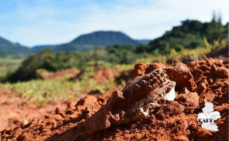 Região conta com um rico material de fósseis, com destaque para espécimes do período Triássico