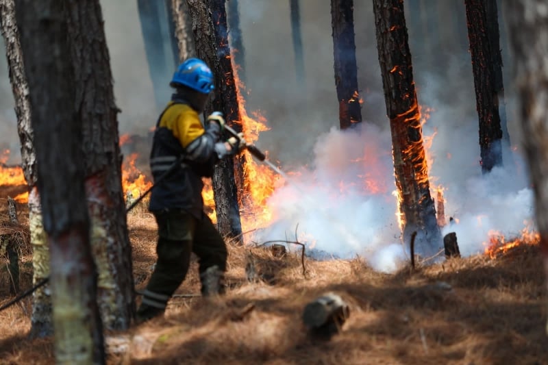 Agentes devem atuar no combate ao desmatamento, à extração ilegal, à invasão de áreas federais e aos incêndios na vegetação