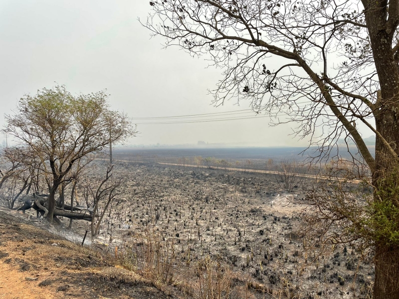 Incêndio em São Borja em 20 de janeiro de 2022