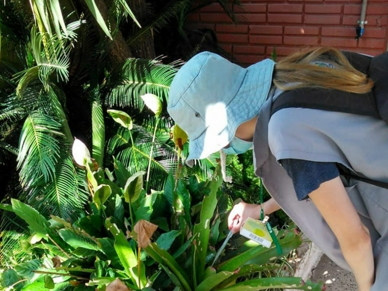 Projeto de Prevenção e Combate à Dengue é realizado em parceria pela Feevale e prefeitura municipal