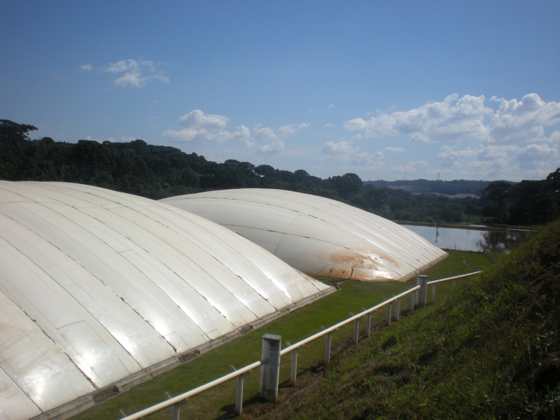 Maior parte das unidades é alimentada com resíduos da agropecuária