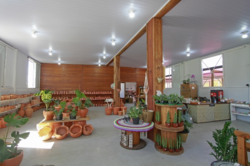 Fotos e vídeo da fazenda das suculentas, na cidade de Sapiranga, para o GeraçãoE. 
