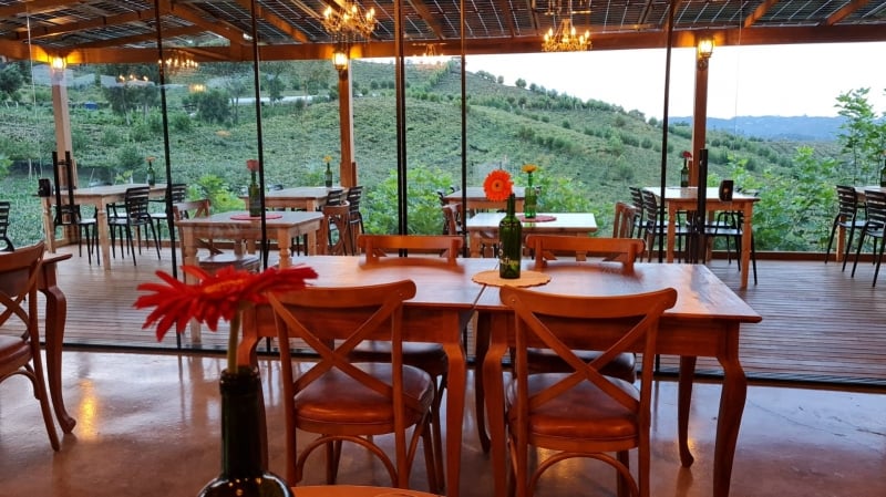 {'nm_midia_inter_thumb1':'https://www.jornaldocomercio.com/_midias/jpg/2022/03/04/206x137/1_pipas3-9557661.jpg', 'id_midia_tipo':'2', 'id_tetag_galer':'', 'id_midia':'62228bc70d958', 'cd_midia':9557661, 'ds_midia_link': 'https://www.jornaldocomercio.com/_midias/jpg/2022/03/04/pipas3-9557661.jpg', 'ds_midia': 'Complexo Pipas Terroir inaugura winebar, em Bento Gon&ccedil;alves', 'ds_midia_credi': 'PIPAS TERROIR/DIVULGA&Ccedil;&Atilde;O/JC', 'ds_midia_titlo': 'Complexo Pipas Terroir inaugura winebar, em Bento Gon&ccedil;alves', 'cd_tetag': '1', 'cd_midia_w': '800', 'cd_midia_h': '449', 'align': 'Left'}