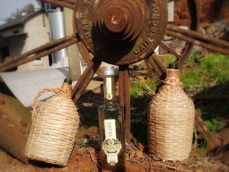 Linha de vinhos de mesa ainda é o principal produto da Vinícola Grutinha