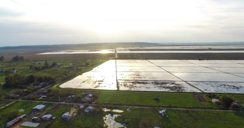 Investimento ficaria localizado entre Charqueadas e Eldorado do Sul