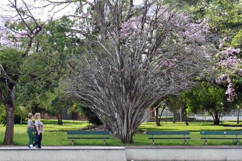 MetSul adverte que a chegada do outono não significa que o calor fica para trás no RS 