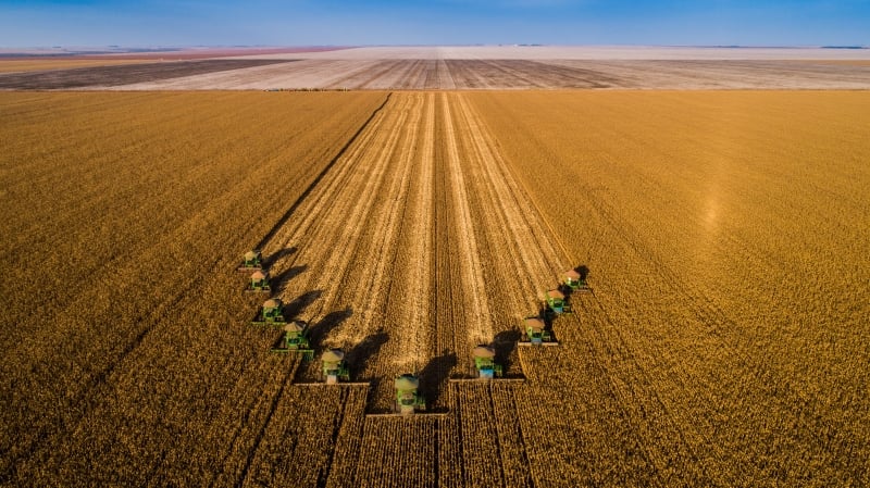 Neste ano, vão ser 712 bolsas no valor de R$ 200 mensais cada
