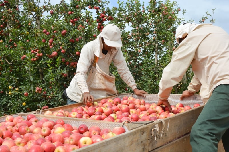 RS registra 26,7 mil postos de trabalho em janeiro, 2° maior saldo do País