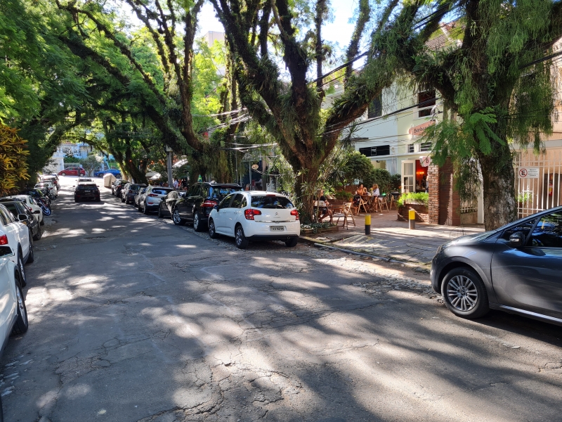 Arborização é uma marca registrada na rua Dinarte Ribeiro, no bairro Moinhos de Vento