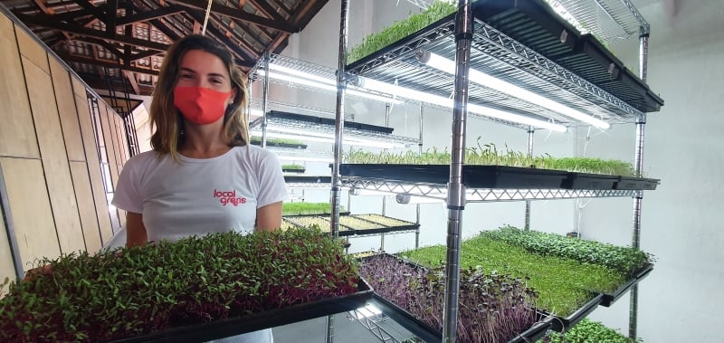 Tha&iacute;s Andorffy lan&ccedil;ou a Local Greens, que funciona atrav&eacute;s de um modelo de assinatura de hortali&ccedil;as produzidas em estantes verticais na Capital Foto: ISADORA JACOBY/ESPECIAL/JC