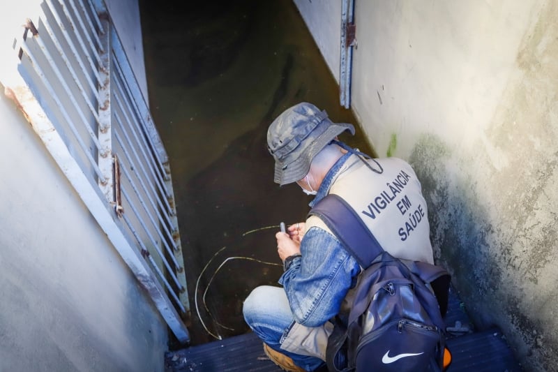 Infestação pelo mosquito Aedes aegypti é alta em 29 bairros de Porto Alegre