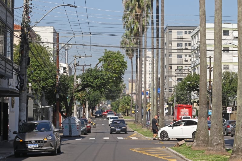 A regi�o, que d� in�cio � Zona Sul de Porto Alegre, concentra neg�cios tradicionais e novos, j� que � via de passagem para a popula��o em busca de entretenimento e de servi�os de sa�de