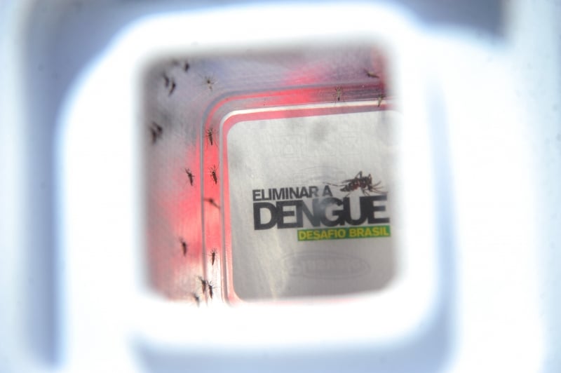 Total de ocorrências suspeitas é bastante superior aos casos confirmados em Porto Alegre, com 17.758 no ano