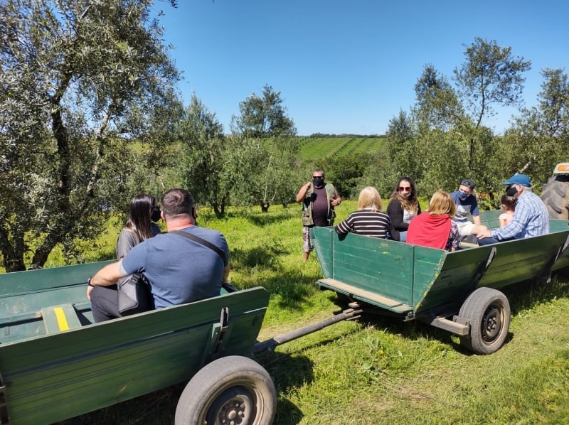 Quinta da Est&acirc;ncia re&uacute;ne entretenimento pedag&oacute;gico e lazer 