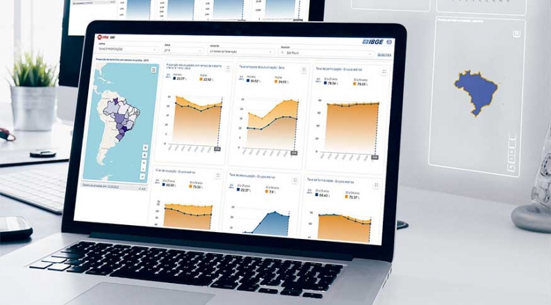Usuário tem acesso a 24 indicadores selecionados da PNAD
