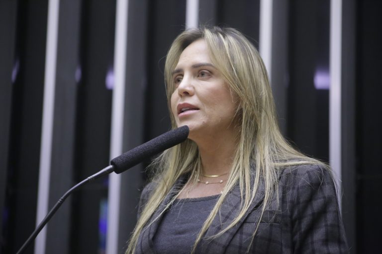 'É bom lembrar que a DPU cuida de quase três milhões de causas e das pessoas mais carentes', disse a deputada Celina Leão (PP-DF)