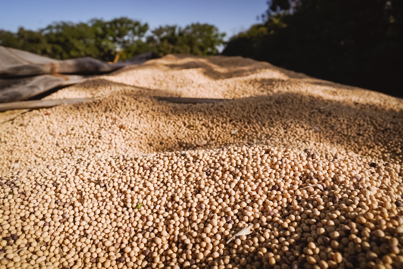 PIB do RS tem queda de 2,7% no segundo trimestre de 2025