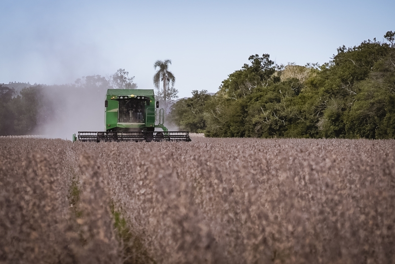 Foram embarcadas 596 mil toneladas de soja, maior volume registrado desde outubro de 2022