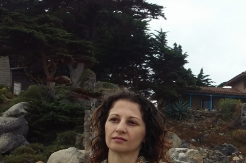 Premiada por O gesto sensível do mundo, Denise Freitas vem publicando poesia desde 2010