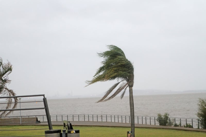 O ciclone bomba é um fenômeno meteorológico caracterizado por um ciclone extratropical intenso com ventos muito fortes