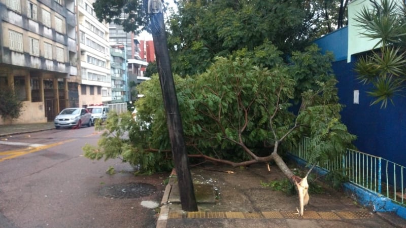 Queda de árvores, galhos e outros objetos sobre a rede elétrica prejudica o fornecimento de energia