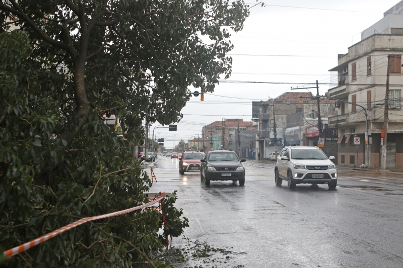 Os fortes ventos provocaram queda de árvores, galhos e outros objetos na fiação elétrica