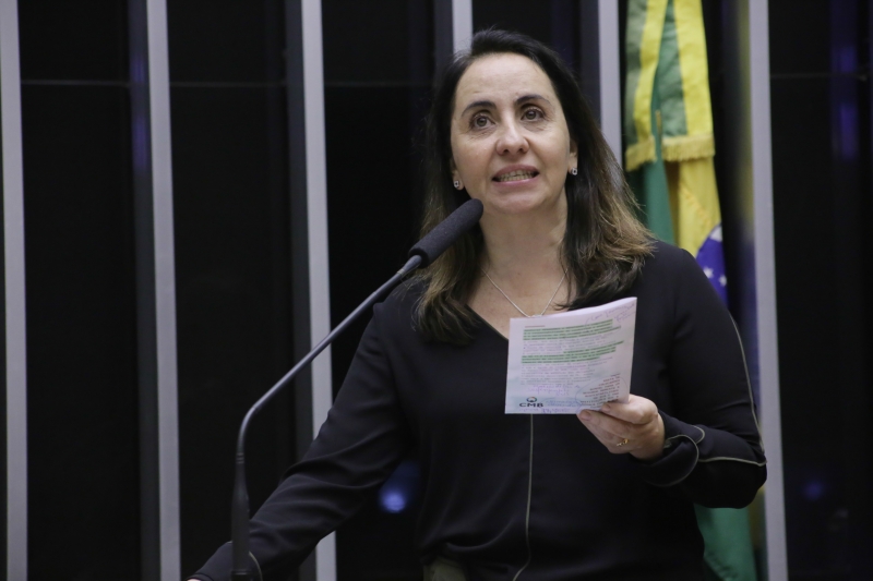 Deputada propôs criar uma câmara técnica de uniformização e um conselho