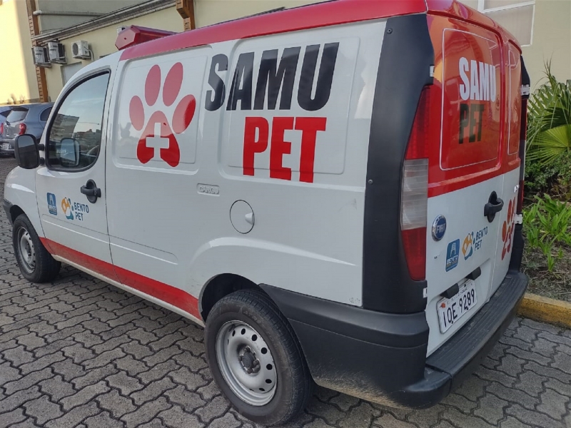 Van é utilizada para atender casos graves de cães e gatos envolvidos em maus tratos e atropelamentos