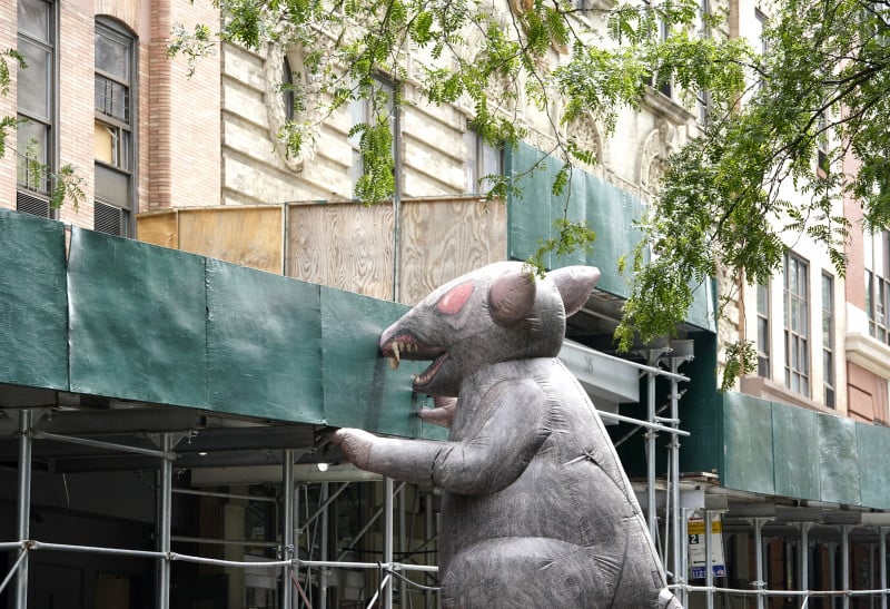 Rato inflável gigante é instalado em rua de Nova York
