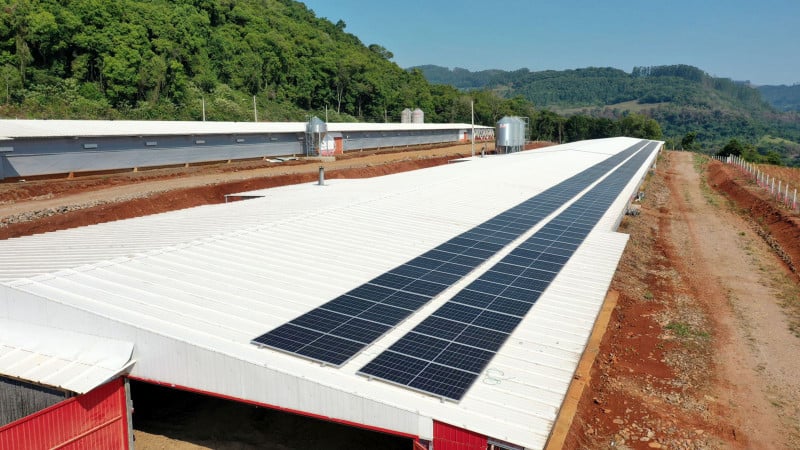 Geração distribuída fotovoltaica vem ganhando espaço no meio rural, com destaque para produtores de carnes suína e de frango