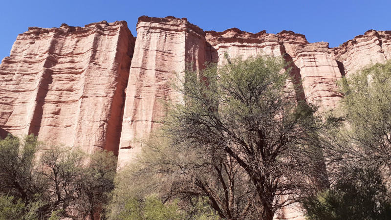 Parque Nacional Talampaya é famoso por seus cânions e fósseis de animais do período Triássico, de até 250 milhões de anos atrás