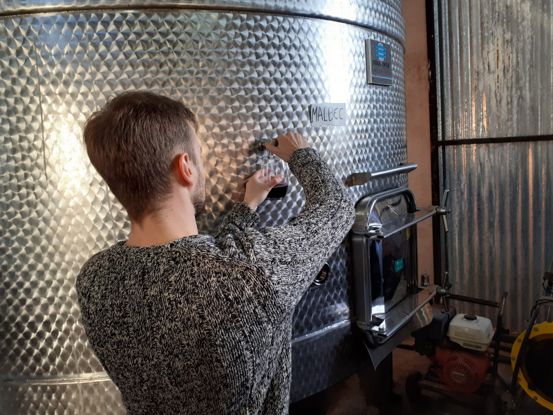 Vitivinicultura da região está embasada nas uvas das variedades Torrontés, Bonarda e Malbec