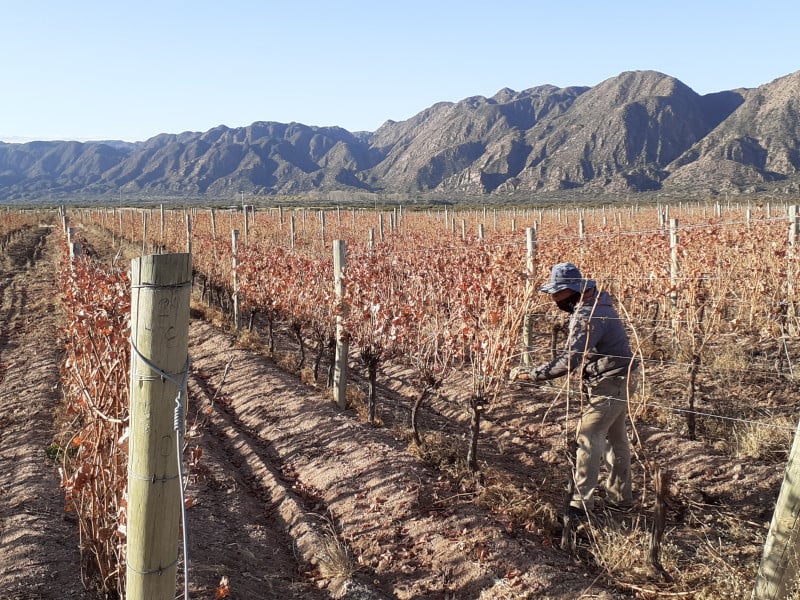 Região é caracterizada por belezas naturais e produção de vinhos