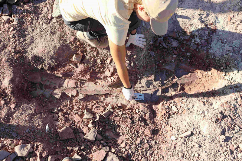 Pesquisadores já coletaram mais de 100 espécimes de fósseis no local