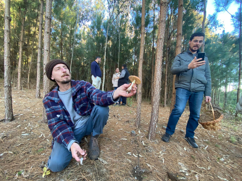 {'nm_midia_inter_thumb1':'https://www.jornaldocomercio.com/_midias/jpg/2022/06/28/206x137/1_photo_2022_06_18_17_06_55-9671263.jpg', 'id_midia_tipo':'2', 'id_tetag_galer':'', 'id_midia':'62bb0ce765974', 'cd_midia':9671263, 'ds_midia_link': 'https://www.jornaldocomercio.com/_midias/jpg/2022/06/28/photo_2022_06_18_17_06_55-9671263.jpg', 'ds_midia': 'Minuto Varejo - Turismo - caçada aos cogumelos - em Pinto Bandeira - lazer - gastronomia - experiência - turismo micológico - ligado a fungos - Rio Grande do Sul - coordenador da atividade - Jefferson Timm, autor do livro Primavera Fungi – Guia de Fungos do Sul do Brasil', 'ds_midia_credi': 'TATI FELDENS/DIVULGAÇÃO/JC', 'ds_midia_titlo': 'Minuto Varejo - Turismo - caçada aos cogumelos - em Pinto Bandeira - lazer - gastronomia - experiência - turismo micológico - ligado a fungos - Rio Grande do Sul - coordenador da atividade - Jefferson Timm, autor do livro Primavera Fungi – Guia de Fungos do Sul do Brasil', 'cd_tetag': '1', 'cd_midia_w': '800', 'cd_midia_h': '600', 'align': 'Left'}