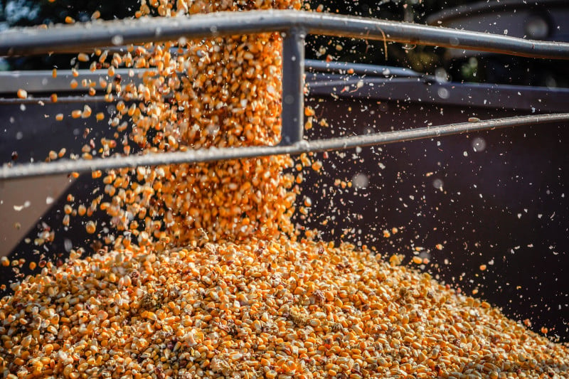 Produção nacional de grãos deve ser 15% superior à colheita anterior, com destaque para soja e milho